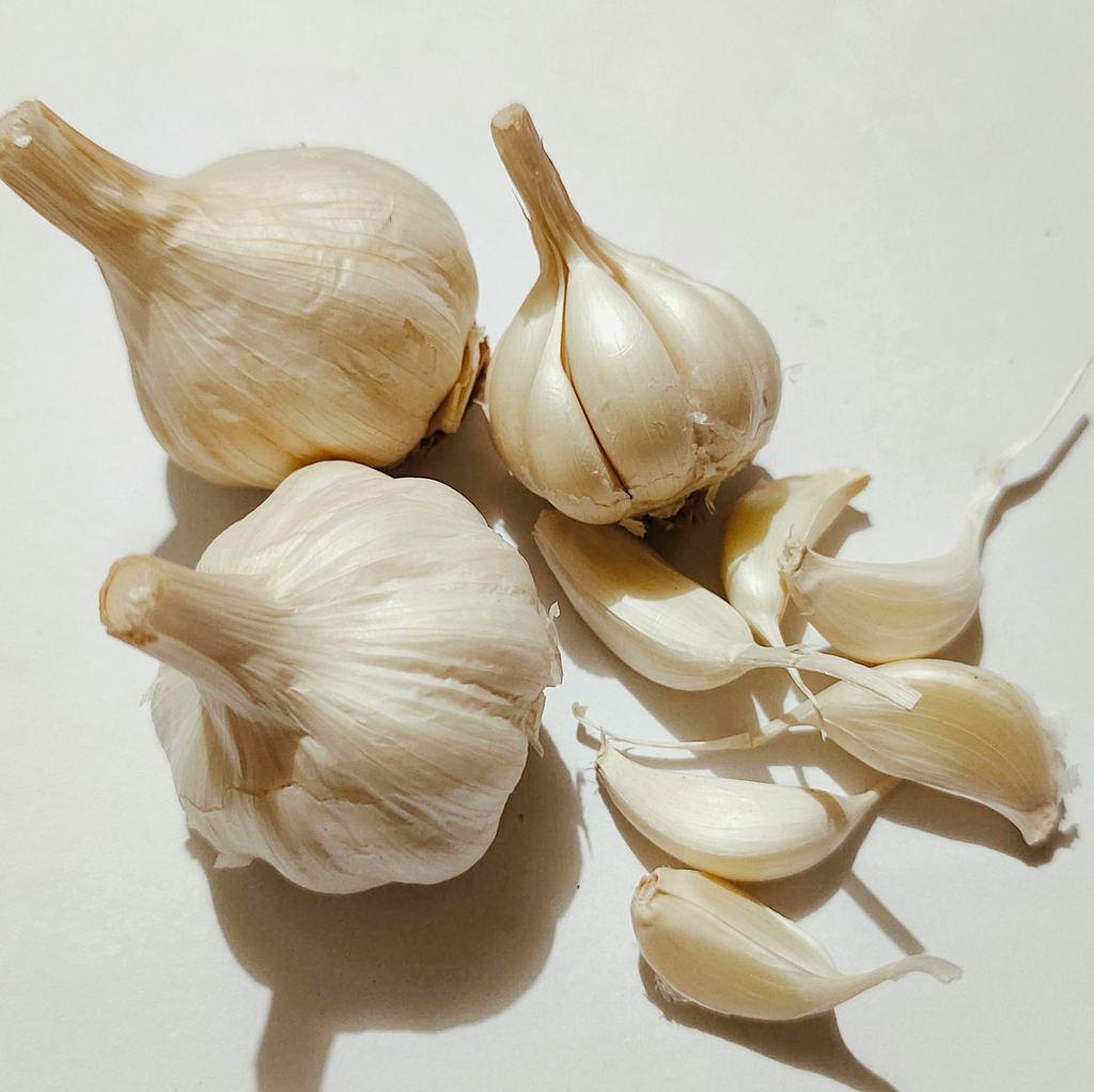 Ajo