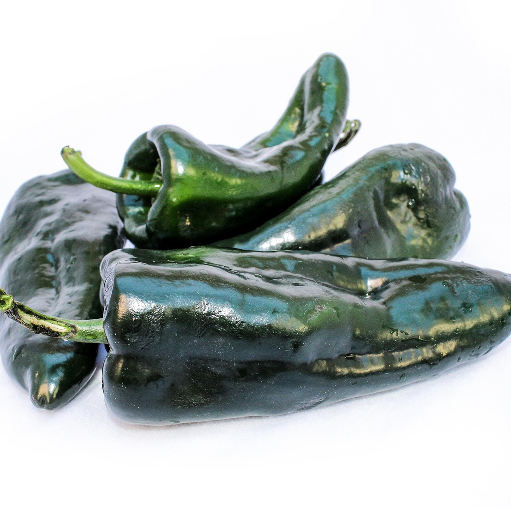 Chile Poblano