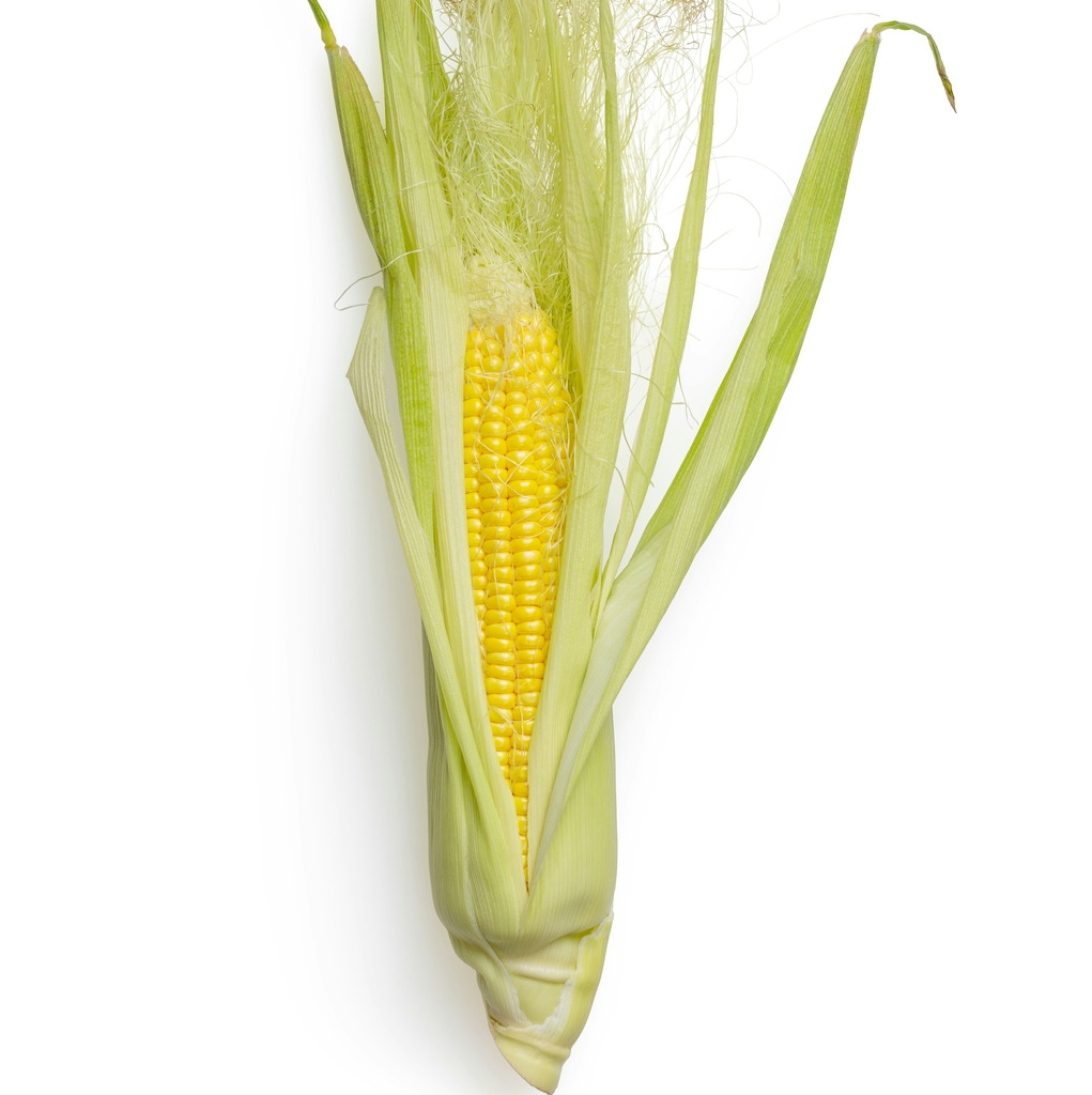 Elote