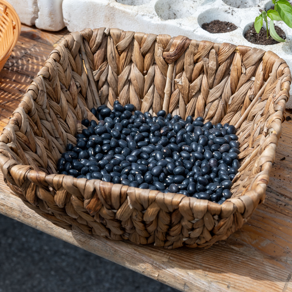 Frijol Negro